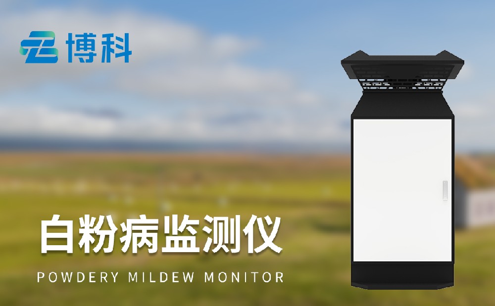 白粉病监测仪