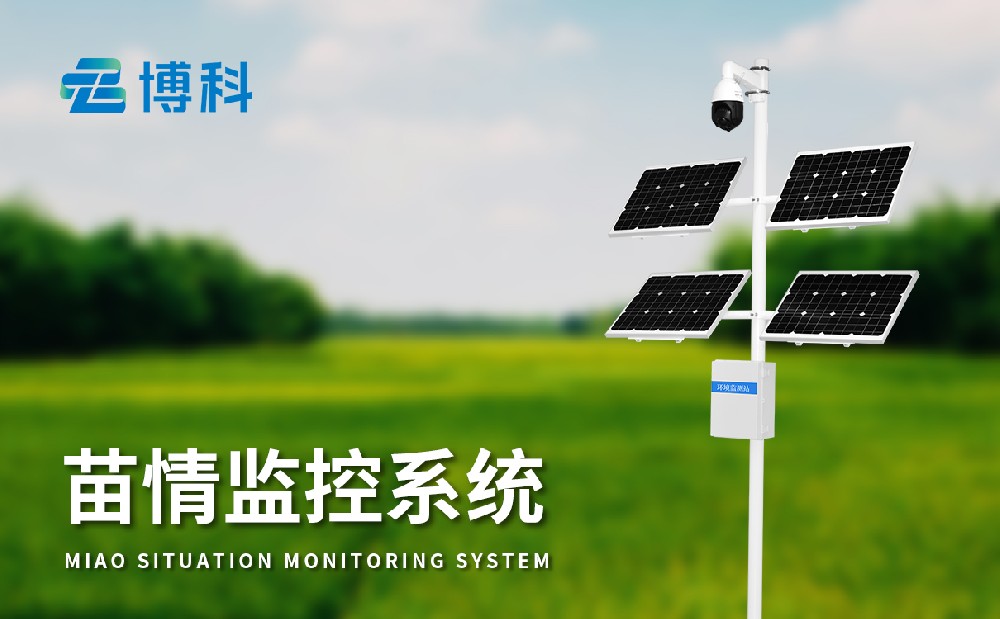 苗情监测系统