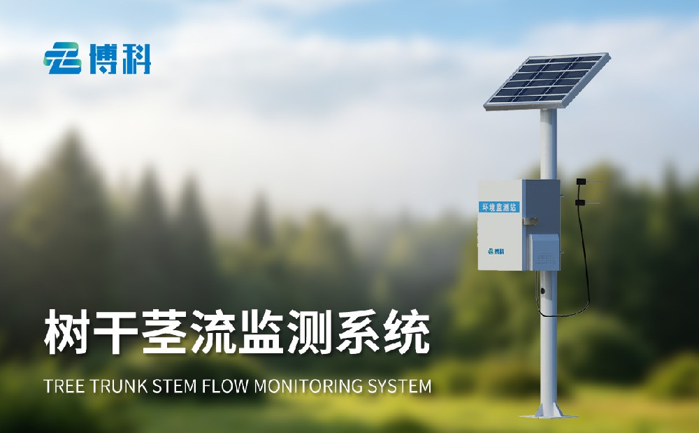 树干茎流监测系统
